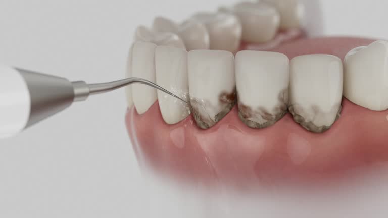 Reliable Dental contractor in Bluffdale, UT by Dentist Open Now
